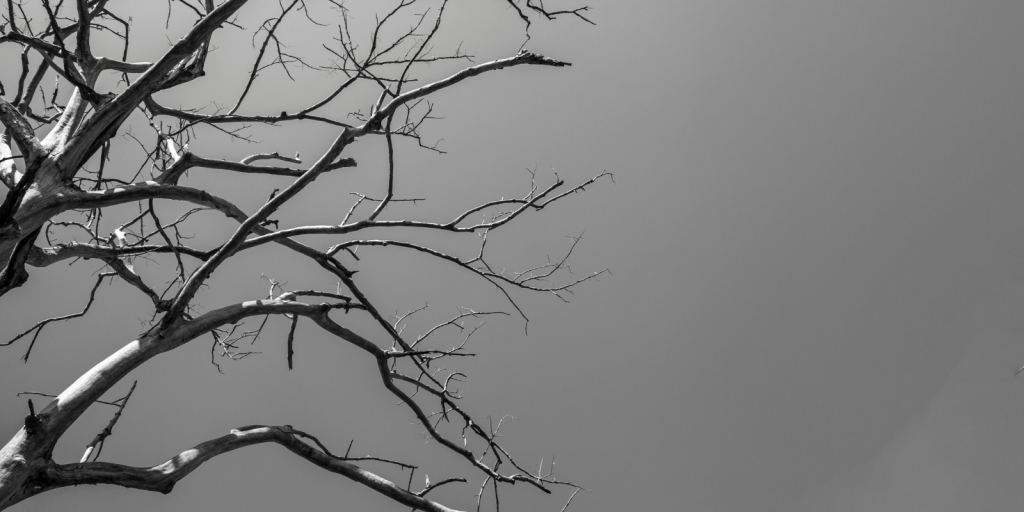 The Crisis of Justice in Modern&nbsp;Times.