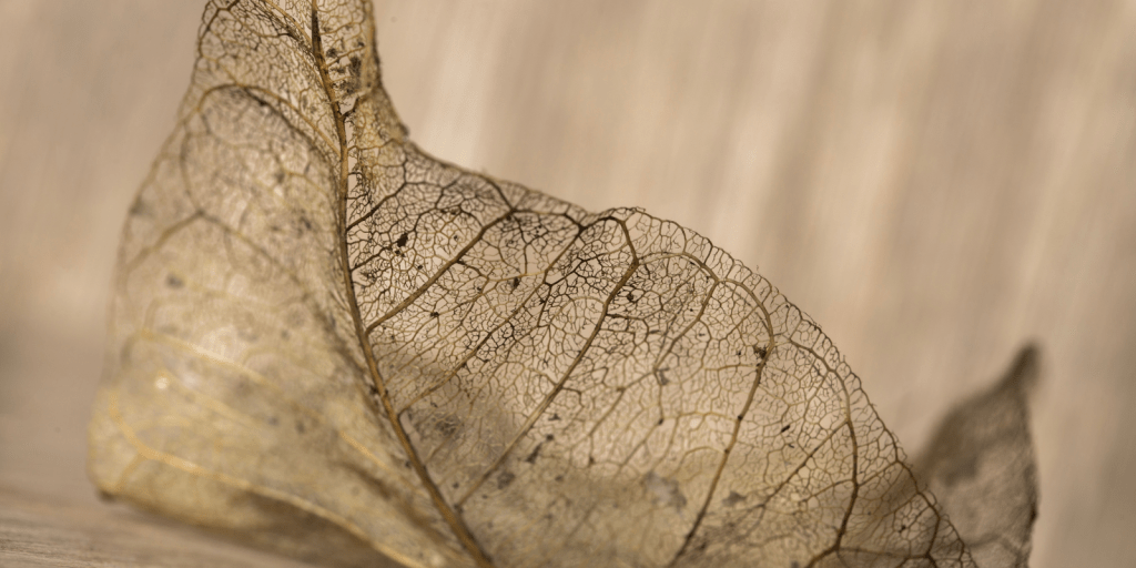 You Will Never Hear An Apology From&nbsp;Her.